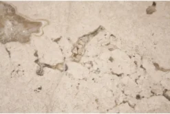 Abbott Round End Table 6 Abbott Round End Table -Living Room Furniture Shop 292237 white stone end table detail 44