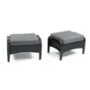 Sagrada Outdoor Ottomans With Grey Polyester Cushions Set Of 2