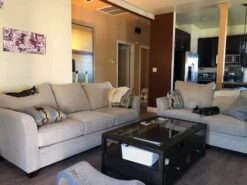 Valencia Glass Storage Coffee Table With Wheels 27 Valencia Glass Storage Coffee Table With Wheels -Living Room Furniture Shop normal 16